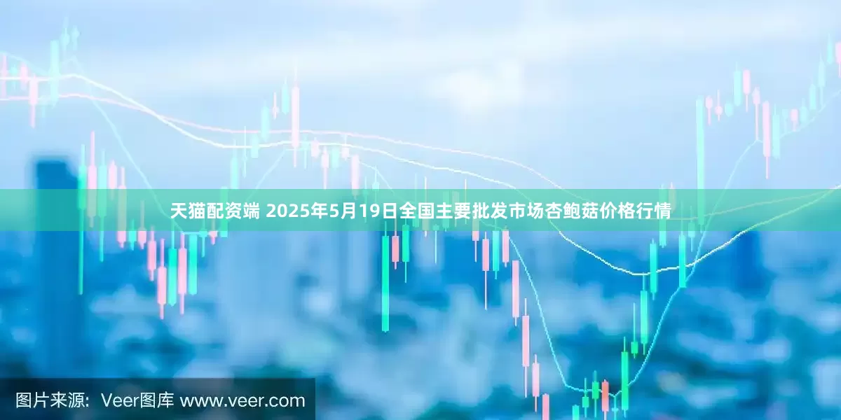 天猫配资端 2025年5月19日全国主要批发市场杏鲍菇价格行情