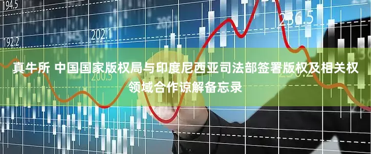 真牛所 中国国家版权局与印度尼西亚司法部签署版权及相关权领域合作谅解备忘录