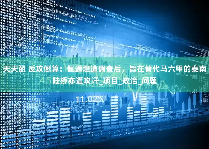 天天盈 反攻倒算：佩通坦遭调查后，旨在替代马六甲的泰南陆桥亦遭攻讦_项目_政治_问题