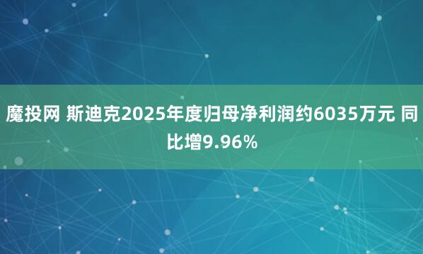 魔投网 斯迪克2025年度归母净利润约6035万元 同比增9.96%